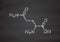 Glutamine (l-glutamine, Gln, Q) amino acid molecule