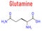 Glutamine or l-glutamine, Gln, Q amino acid molecule. Skeletal formula.