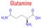 Glutamine or l-glutamine, Gln, Q amino acid molecule. Skeletal formula.