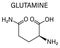 Glutamine or l-glutamine, Gln, Q amino acid molecule. Skeletal formula.