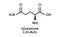 Glutamine molecular structure. Glutamine skeletal chemical formula. Chemical molecular formula vector illustration
