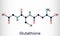 Glutathione, GSH, C10H17N3O6S molecule. It is an important antioxidant in plants, animals and some bacteria. Structural chemical