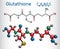 Glutathione GSH molecule, is an important antioxidant in plant