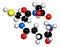 Glutathione oxidized glutathione, GSSG molecule. 3D rendering. Atoms are represented as spheres with conventional color coding:.