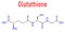 Glutathione, reduced glutathione, GSH, endogenous antioxidant molecule. Skeletal formula.