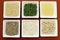 Gluten free grains food - brown rice, millet, LSA, buckwheat flakes and chickpeas and green peas legumes - aerial close-up.