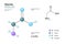 Glycine. Gly C2H5NO2. Î±-Amino Acid. Structural Chemical Formula and Molecule 3d Model. Atoms with Color Coding. Vector