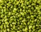 Glycine max - Organic fresh soybeans background