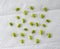 Glycine max - Organic fresh soybeans on napkin background