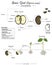 Glycine max soy bean dicotyledon structure, function and development