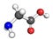 Glycine molecule