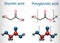 Glycolic acid hydroacetic, hydroxyacetic acid and polyglycolic acid polyglycolic acid, PGA molecule