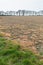 Glyphosate herbicide sprayed on a field in UK