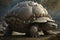 A Glyptodon using its armored shell to protect its young.. AI generation