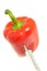 GMO - pepper with syringe injection