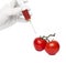 Gmo product concept: Tomato injection