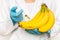 GMO scientist injecting liquid from syringe into bananas