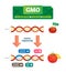 GMO vector illustration. Organic and modified agricultural plants scheme.