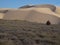 Gnaraloo Station, Western Australia