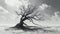 Gnarled tree in a desolate landscape