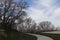 Gnarly leafless trees with twisted branches and a walkway near Salt Lake city Utah