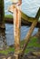 Gnarly old wooden supports for an old jetty