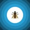 Gnat Flat Icon. Mosquito Vector Element Can Be Used For Gnat, Mosquito, Hum Design Concept.