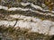 Gneiss rock - background or pattern