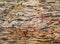 Gneiss rock - colorful graphic pattern or background
