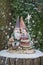 Gnome couple hugging on tree stump with snowflake fairy