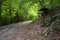 Gnome forest. Wooden sculptures, Monte Guglielmo, Brescia, Italy