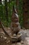 Gnome forest. Wooden sculptures, Monte Guglielmo, Brescia, Italy