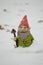 Gnome in the snow
