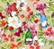 Gnomes, flowers, grass. Floral seamless pattern with wild plants, magical dwarf in meadow blossom. Vintage watercolor