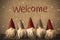 Gnomes, Snowflakes, Text Welcome