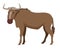 Gnu Wildebeest isolated on a white background. African wildlife animal. Vector Illustration