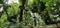 Go Ape Adventure. Located in national parks and local recreational facilities, Go Ape is a challenging obstacle course in the