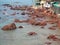 GOA, Arambol, INDIA 27.02.2020 view of the rocky shore near the food rows. People are fishing with a fishing