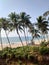 Goa beach snap