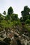 Goa Gajah ancient ruins