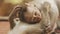 Goa, India. Bonnet Macaque - Macaca Radiata Or Zati With Newborn Sitting On Ground. Monkey With Infant Baby. Close Up