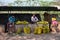 Goa, India, February 2023. Portrait of two young Indian men and senior woman sitting on stalls with bunches of bananas.