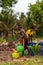 GOA, INDIA - May 14, 2020: Betul,Goa/India- May 16 2020: Local Indian native/farmer watering a coconut sapling plantation. Youn