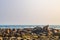 Goa Sea Beach view in clear bright sunny day from a far distance during daytime in clear blue sky on a sunny day