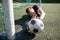 Goalkeeper with ball at football goal on field