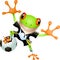 Goalkeeper frog