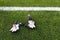 Goalkeeper gloves in the grass on the football field