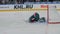 Goalkeeper in uniform near gate at hockey match on arena