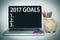 Goals for 2017 new year list