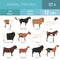 Goat breeds icon set. Animal farming. Flat design